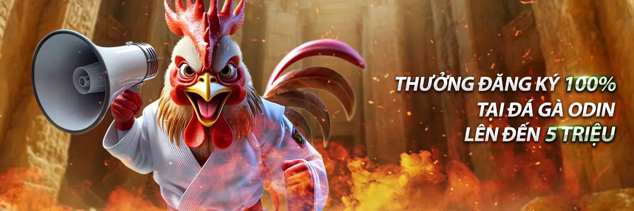 Giao diện ứng dụng vn222 trên điện thoại